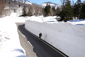 man riding bike in snow-covered road